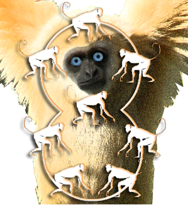 8 Web Monkeys Design
